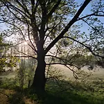 Prázdninový dům Siedlisko Debinka *