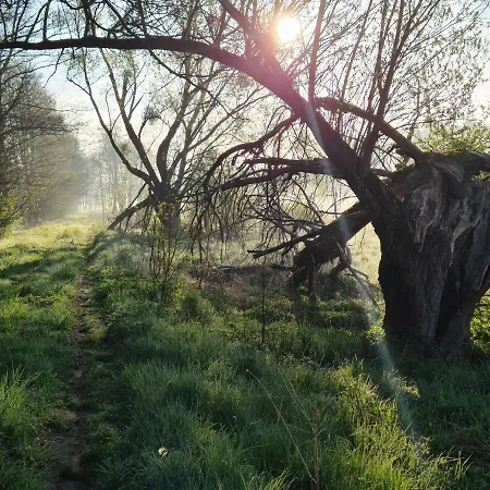 Semesterbostad Siedlisko Debinka
