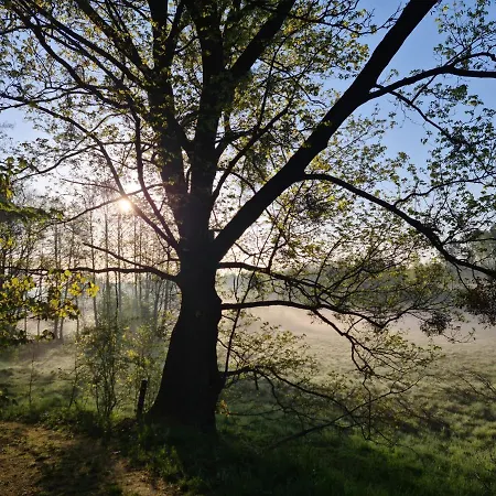 Semesterbostad Siedlisko Debinka *