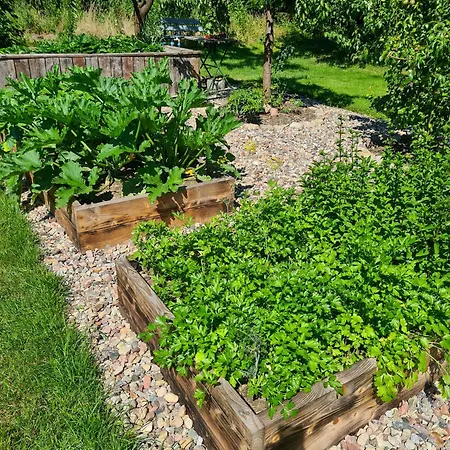 Semesterbostad Siedlisko Debinka Miłomłyn